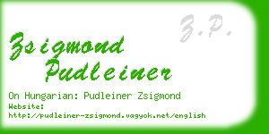 zsigmond pudleiner business card